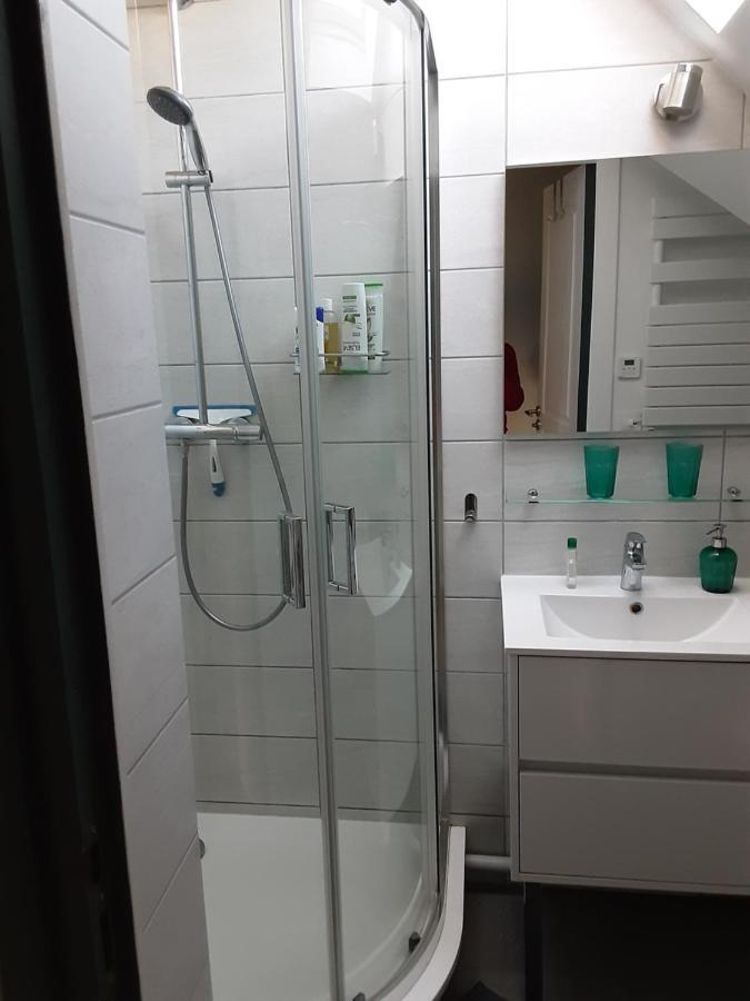 Charmant Appartement A 150 M Des Thermes Et Du Centre Ville Thonon-les-Bains Luaran gambar
