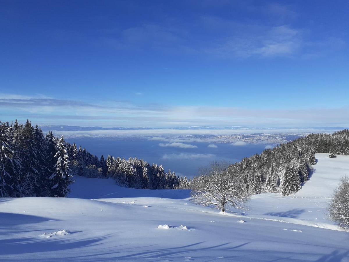 Charmant Appartement A 150 M Des Thermes Et Du Centre Ville Thonon-les-Bains Luaran gambar