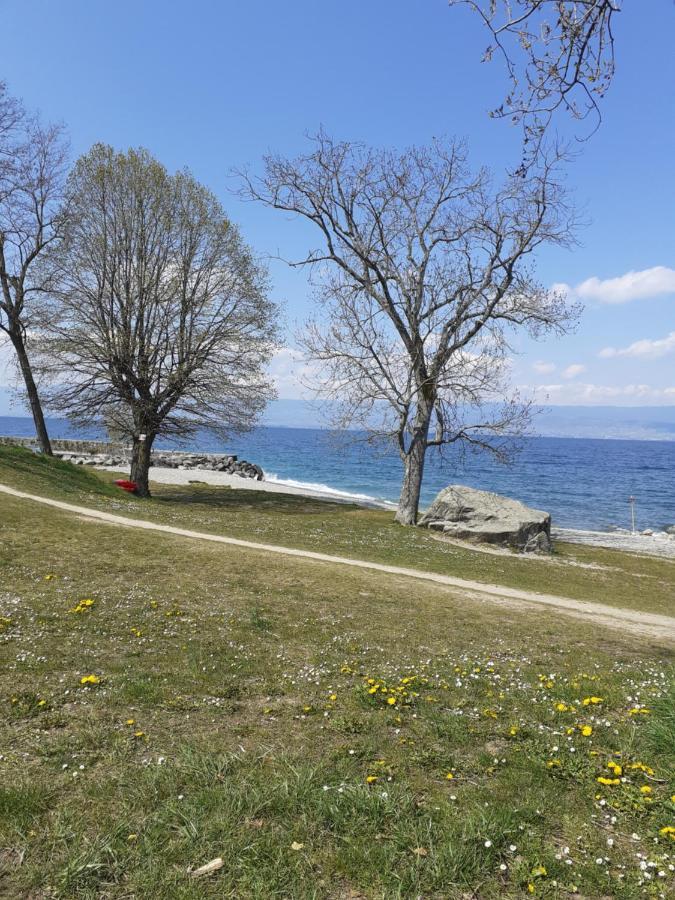 Charmant Appartement A 150 M Des Thermes Et Du Centre Ville Thonon-les-Bains Luaran gambar