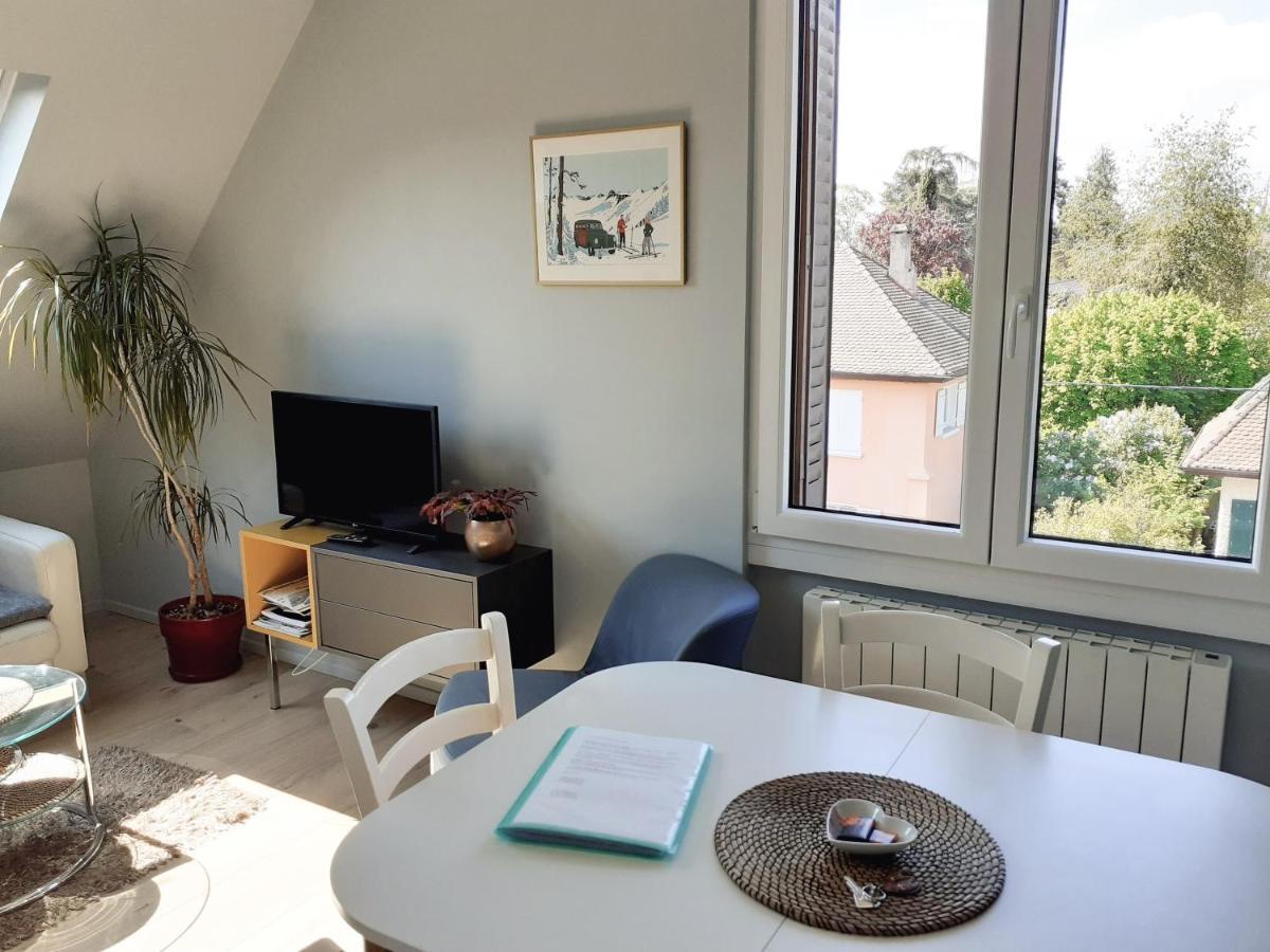 Charmant Appartement A 150 M Des Thermes Et Du Centre Ville Thonon-les-Bains Luaran gambar